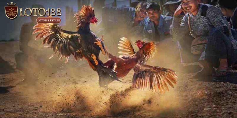 Đá Gà Loto188 - Thiên Đường Đổi Thưởng Kịch Tính Nhất 2025 1 Giới thiệu sơ lược về chuyên mục Đá gà Loto188
